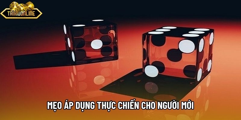 Mẹo áp dụng thực chiến cho người mới