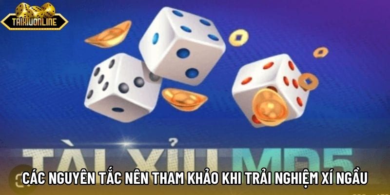 Các nguyên tắc nên tham khảo khi trải nghiệm xí ngầu