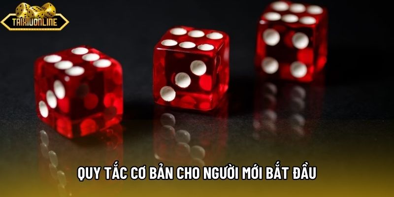 Quy tắc cơ bản cho người mới bắt đầu