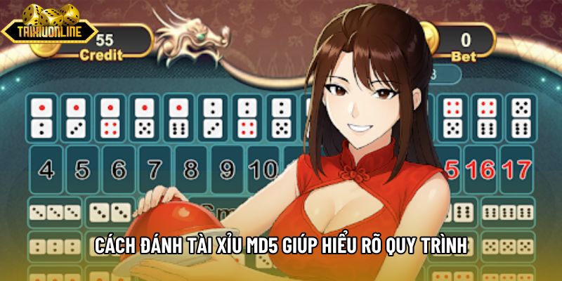 Cách đánh tài xỉu md5 giúp hiểu rõ quy trình