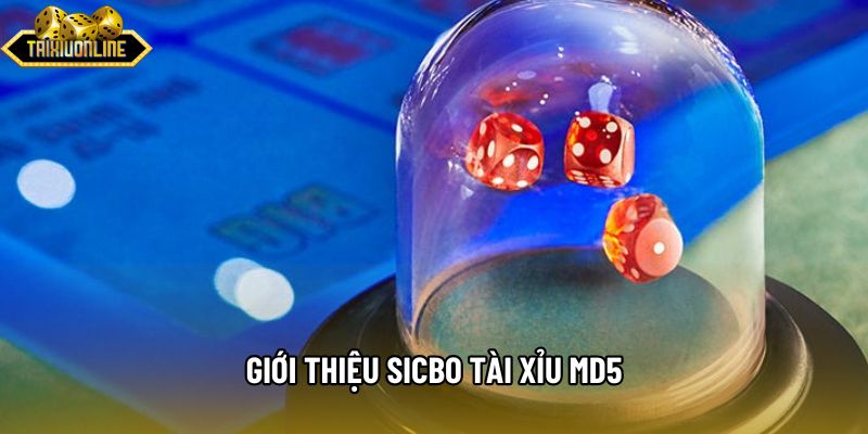 Giới thiệu sicbo Tài xỉu md5