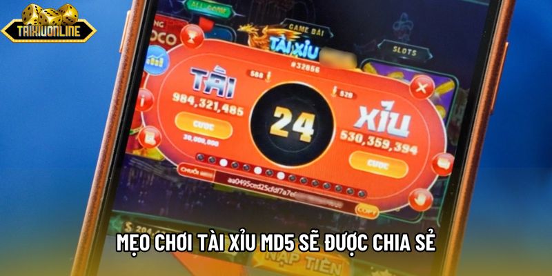Mẹo chơi tài xỉu md5 sẽ được chia sẻ
